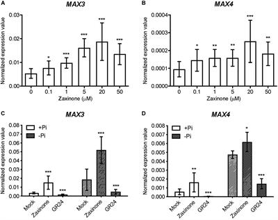 The Apocarotenoid Zaxinone Is a Positive Regulator of Strigolactone and Abscisic Acid Biosynthesis in Arabidopsis Roots